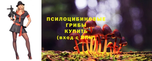 прущие грибы Тавда