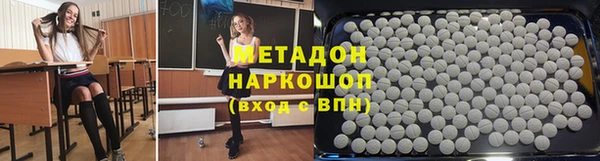 прущие грибы Тавда