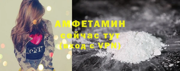 прущие грибы Тавда