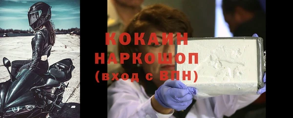 прущие грибы Тавда