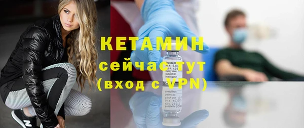 прущие грибы Тавда