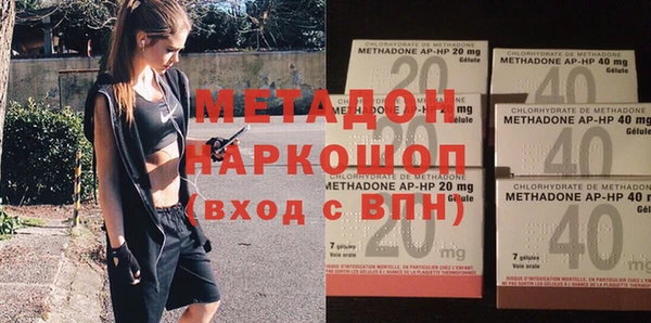 прущие грибы Тавда