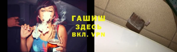 прущие грибы Тавда