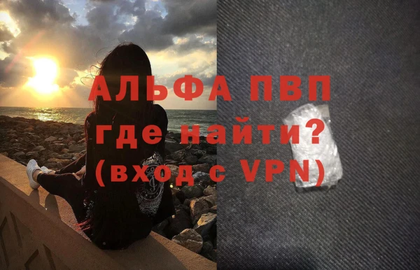 прущие грибы Тавда
