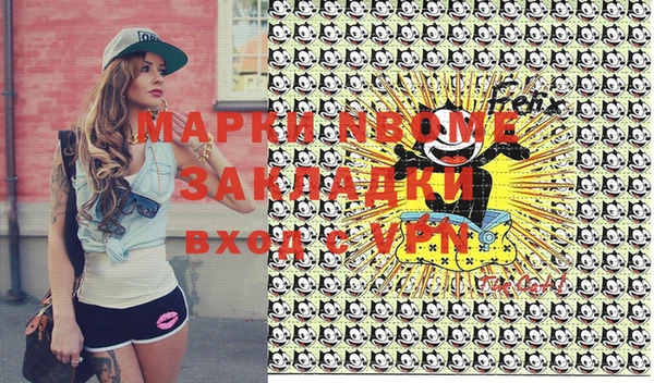 прущие грибы Тавда