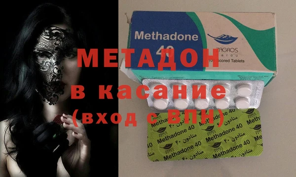 прущие грибы Тавда