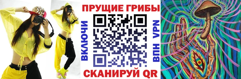 Псилоцибиновые грибы GOLDEN TEACHER  Купить где  Вяземский 